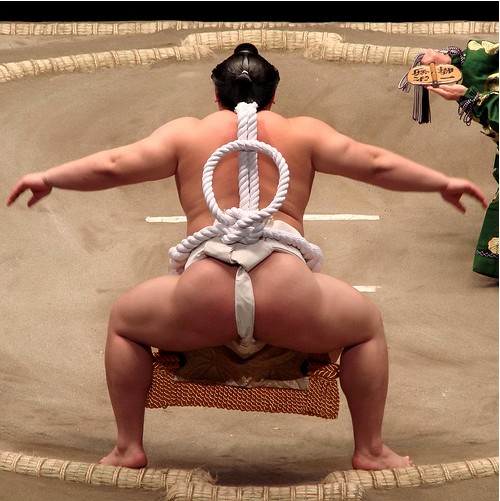 Порно фото Борьба сумо видео